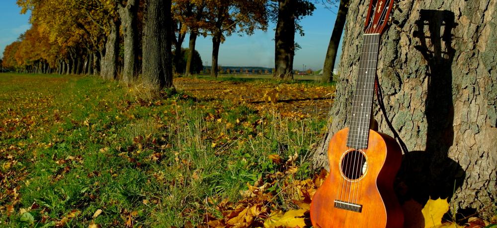 höst gitarr