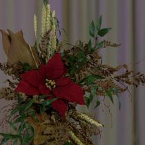 julblomma