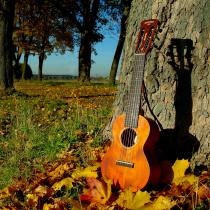höst gitarr